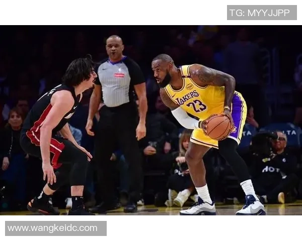 湖人热火总决赛第六场第四节精彩回顾与关键时刻分析